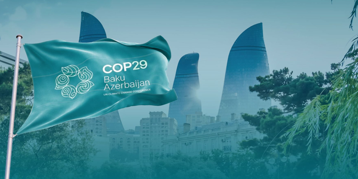Кліматична криза на конференції ООН COP29: Чому експерти критикують переговорний процес?