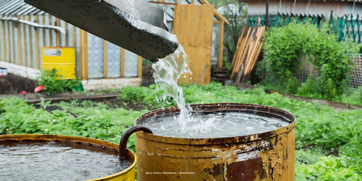 Як правильно використовувати зібрану дощову воду в господарстві